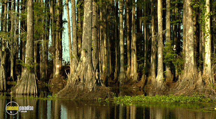 A still #15 from Jessabelle (2014)