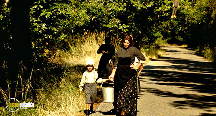 A still #37 from Renoir (2012)