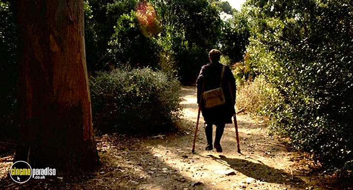 A still #40 from Renoir (2012)