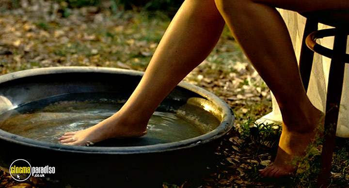 A still #52 from Renoir (2012)