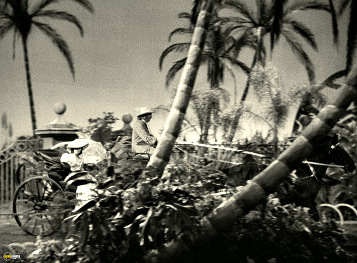 A still #18 from Captain Blood (1935)