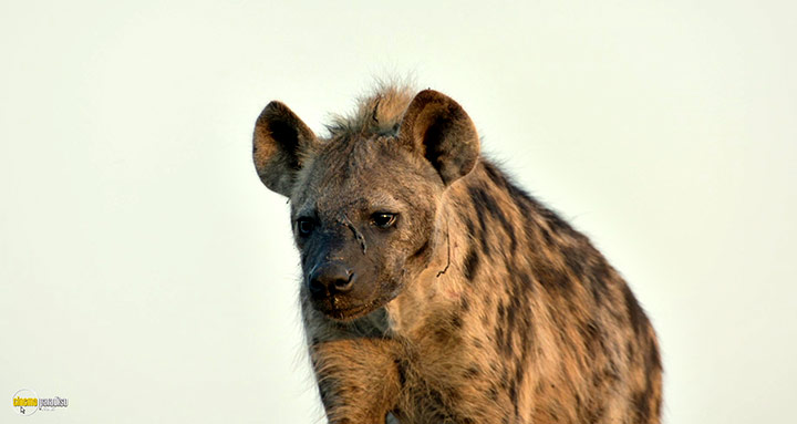 A still #9 from Kingdom (2025)