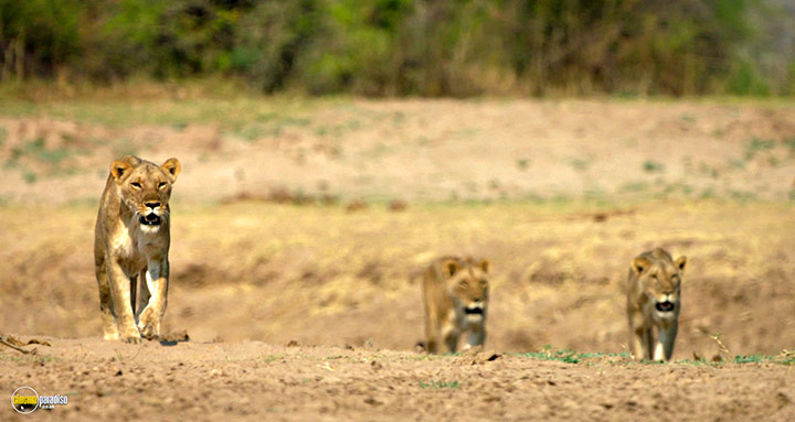 A still #21 from Kingdom (2025)