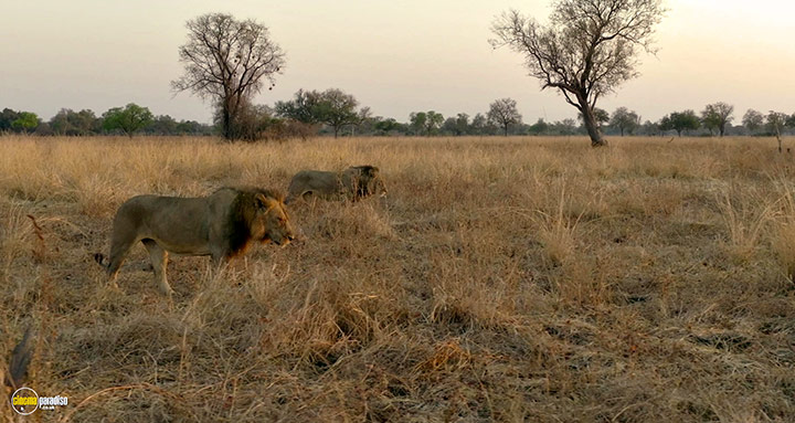 A still #22 from Kingdom (2025)