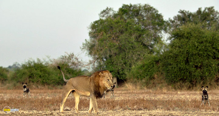 A still #37 from Kingdom (2025)