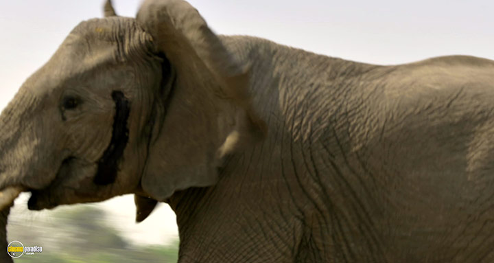 A still #49 from Kingdom (2025)