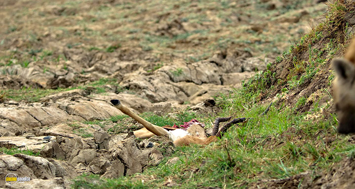 A still #65 from Kingdom (2025)