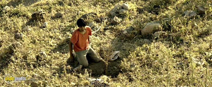 A still #13 from Zaytoun (2012)