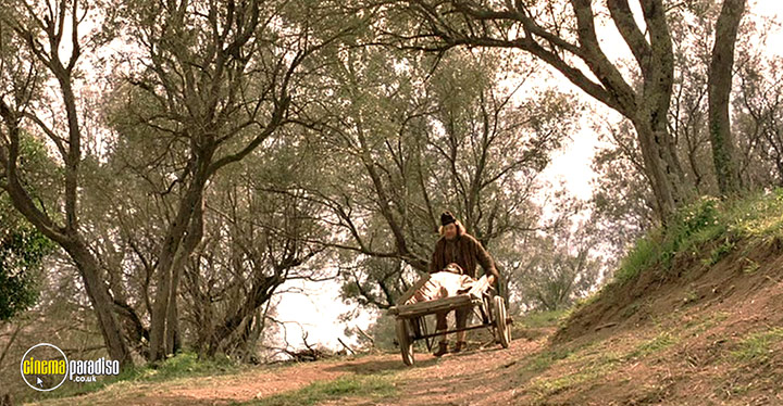 A still #31 from Virgin Territory (2007)