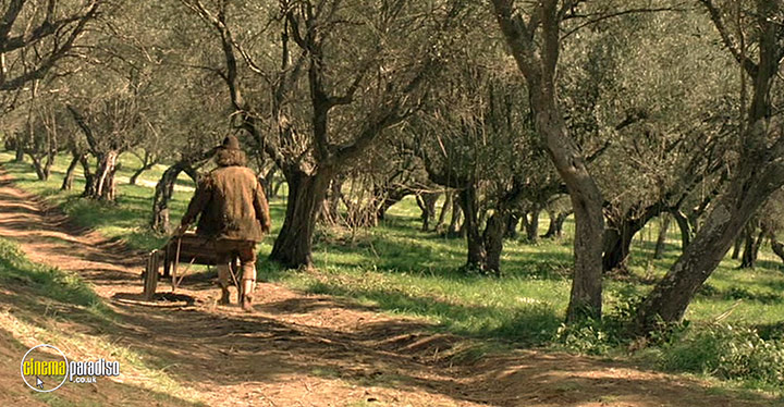 A still #51 from Virgin Territory (2007)
