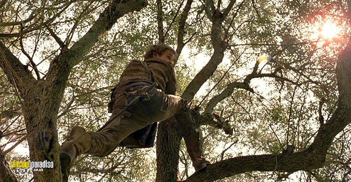 A still #53 from Virgin Territory (2007)