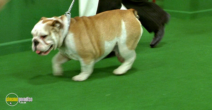 A still #17 from Van Wilder 2: The Rise of Taj (2006)