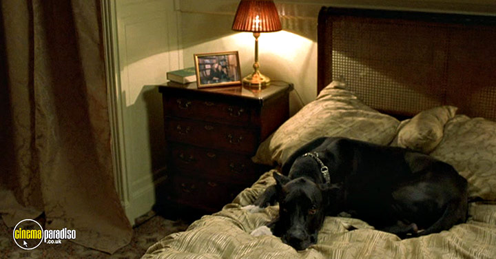 A still #78 from Van Wilder 2: The Rise of Taj (2006)