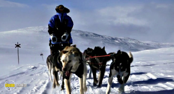 A still #53 from Alan Hinkes: The First Briton to Climb the World's Highest Mountains (2017)