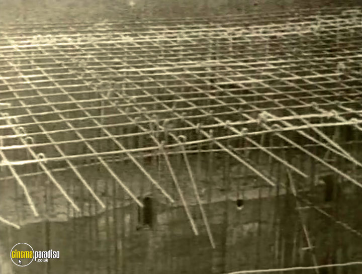A still #2 from The Siegfried Line (2002)