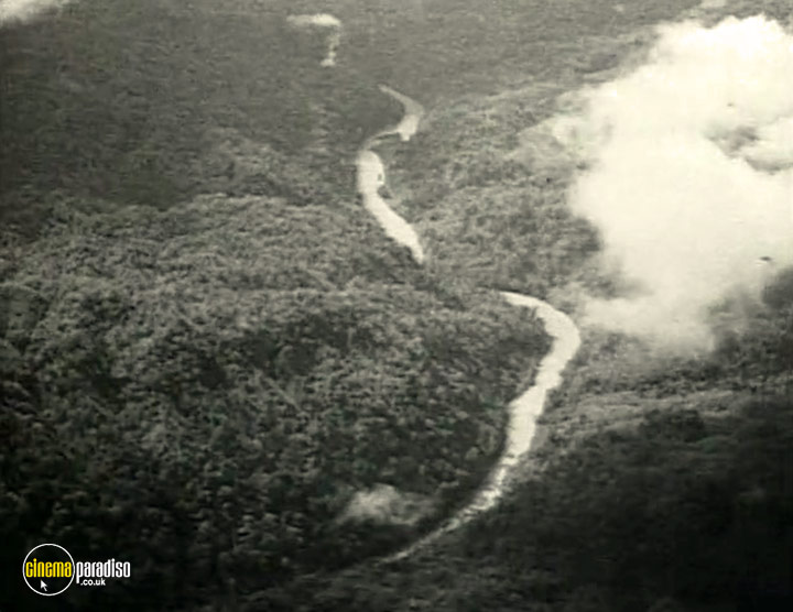 A still #3 from The War in the Jungle