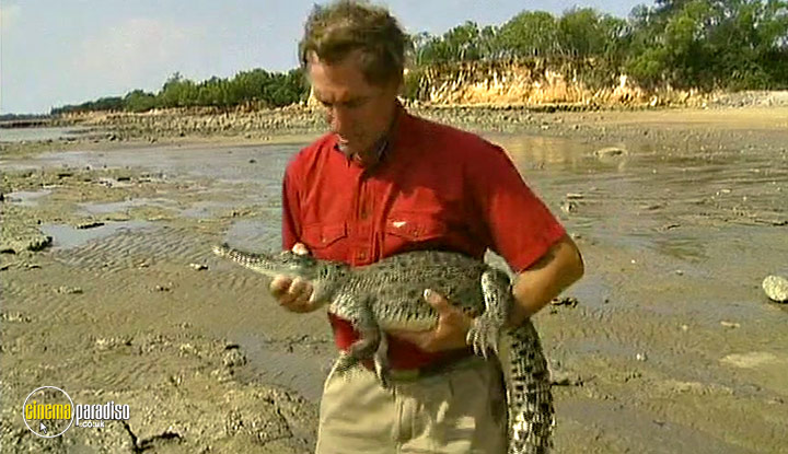 A still #4 from Taming the Tigers (2009)