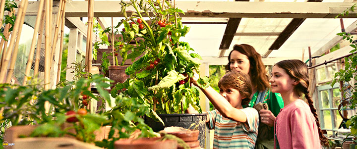 A still #19 from The Magic Faraway Tree (2026)