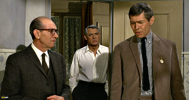 A still #67 from Charade (1963)