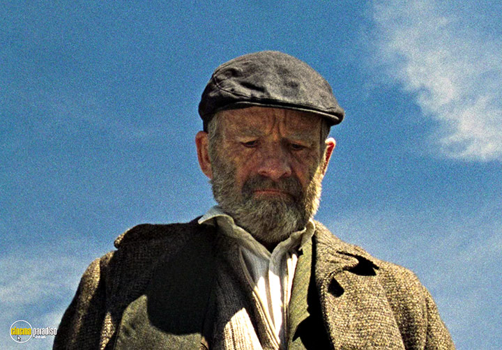A still #31 from Rose of Nevada (2025)