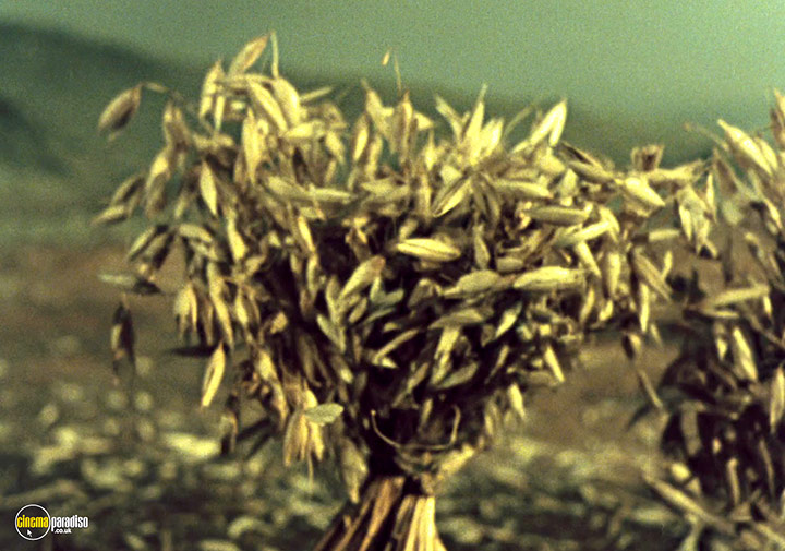 A still #29 from Jirí Trnka: Puppet Master (1965)