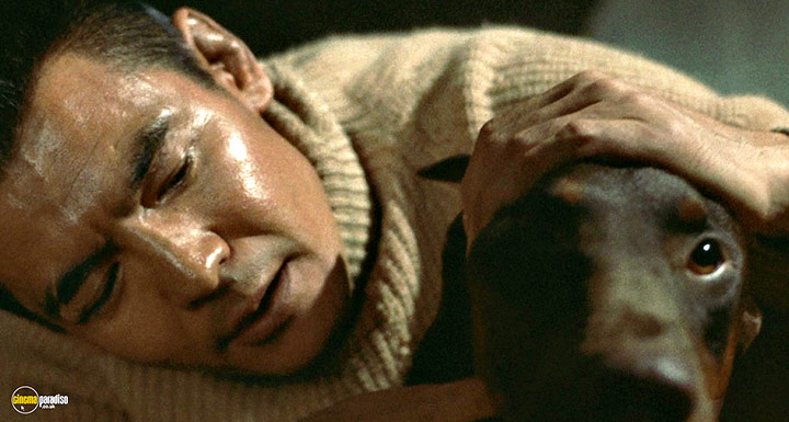 A still #77 from The Boxer (1977)