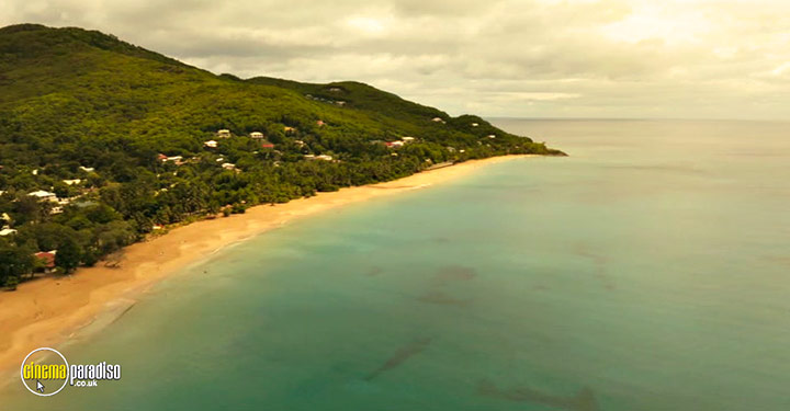 A still #53 from Death in Paradise: Series 15 (2026)