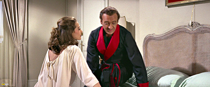 A still #61 from The Pink Panther (1963)