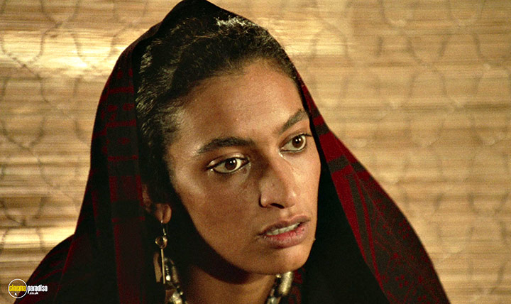 A still #8 from The Mahabharata (1989)