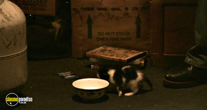 A still #45 from Man Push Cart (2005)