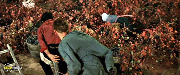 A still #22 from Lust for Life (1956)