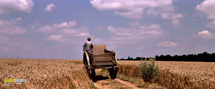 A still #52 from Lust for Life (1956)