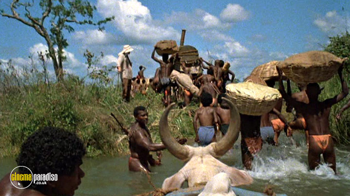 https://cdn-3.cinemaparadiso.co.uk/film-stills/377267-12512-clp-720.jpg