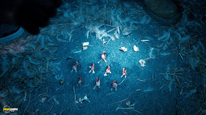 A still #9 from Comedown (2012)