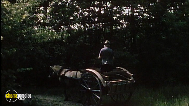 A still #2 from Out of Town: Vol.3 (1978)