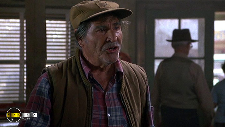 A still #3 from The Milagro Beanfield War (1987)