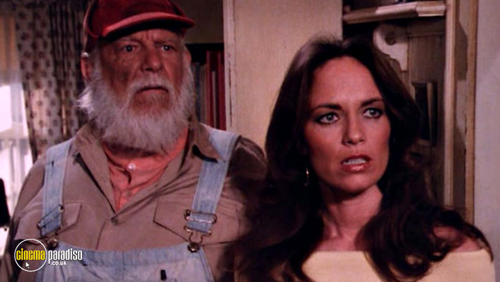 A still #2 from Dukes of Hazzard: Series 6 (1983)