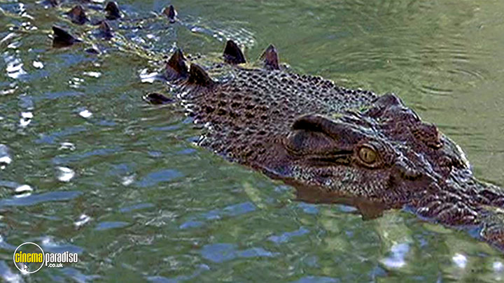 A still #17 from The Crocodile Hunter: Collision Course (2001)