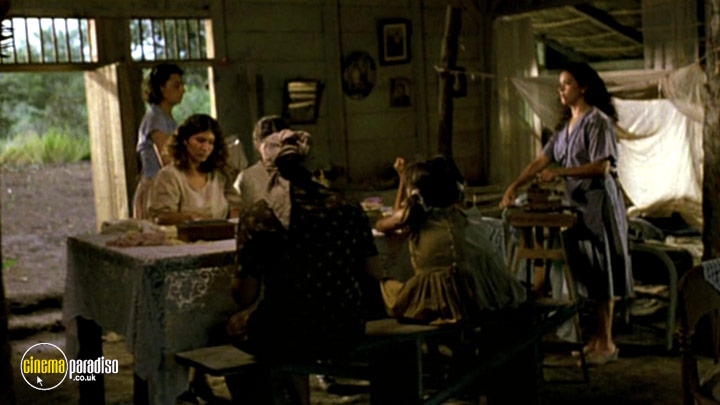 A still #2 from Before Night Falls (2000)