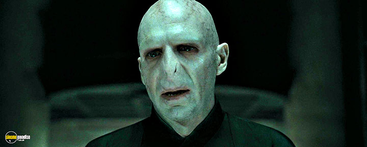 A still #18 from Harry Potter and the Deathly Hallows: Part 1 (2010) With Ralph Fiennes