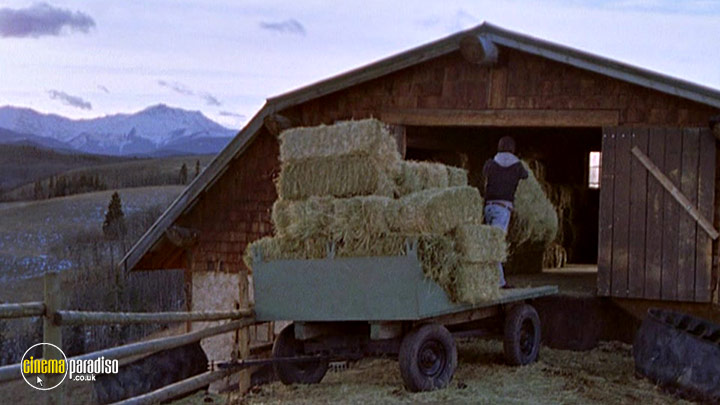 A still #4 from Heartland: Series 1 (2007)