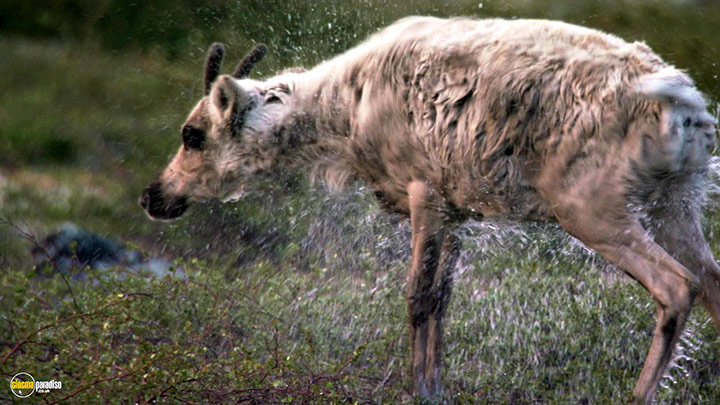 A still #5 from Earth (2007)