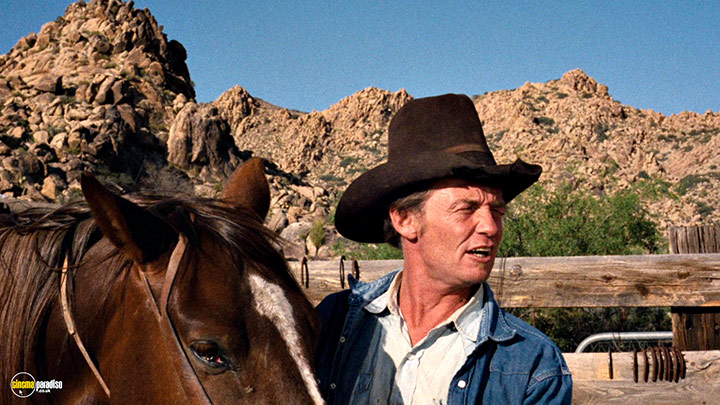 A still #4 from Easy Rider (1969)
