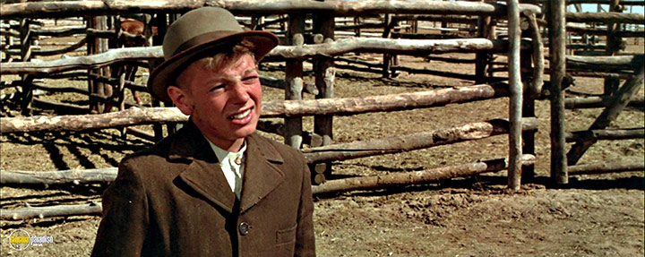 A still #17 from The Cowboys (1972)