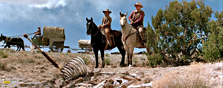 A still #1 from The Cowboys (1972)