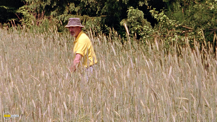 A still #5 from To Be and to Have (2002)
