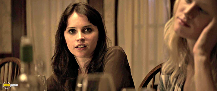 A still #8 from Breathe In (2013) With Felicity Jones