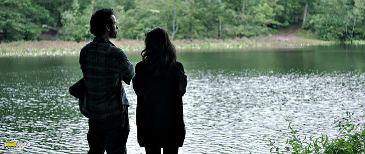 A still #6 from Breathe In (2013)