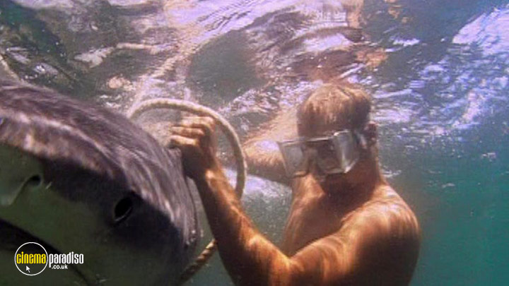 A still #2 from National Geographic: Tiger Sharks (2007)