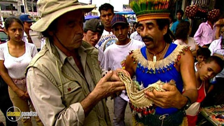 A still #3 from Insectia (2001)